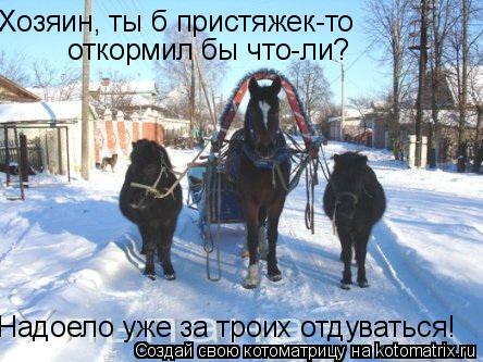 Хозяин, ты б пристяжек-то откормил бы что-ли? Надоело уже за троих отдуваться!... Котоматрица: Хозяин, ты б пристяжек-то откормил бы что-ли? Надоело уже за троих отдуваться!