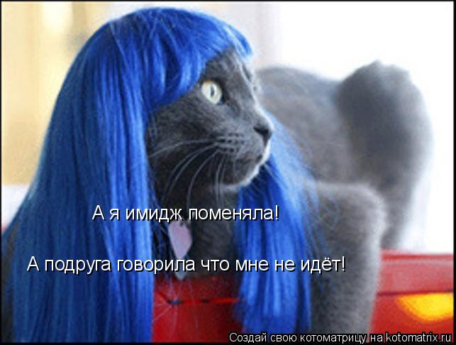 А я имидж поменяла! А подруга говорила что мне не идёт!... Котоматрица: А я имидж поменяла! А подруга говорила что мне не идёт!