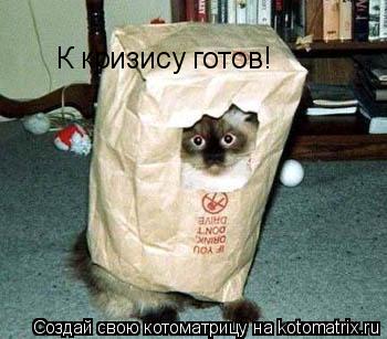 К кризису готов!... Котоматрица: К кризису готов!