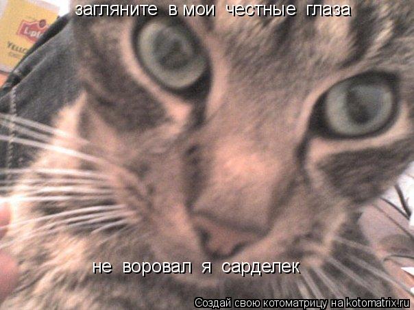загляните в мои честные глаза не воровал я сарделек... Котоматрица: загляните в мои честные глаза не воровал я сарделек