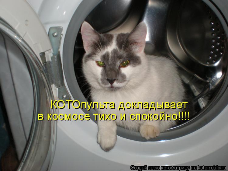 Котоматрица: КОТОпульта докладывает в космосе тихо и спокойно!!!!