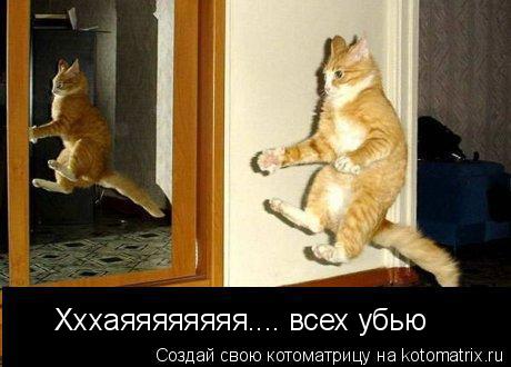 Хххаяяяяяяяя.... всех убью... Котоматрица: Хххаяяяяяяяя.... всех убью