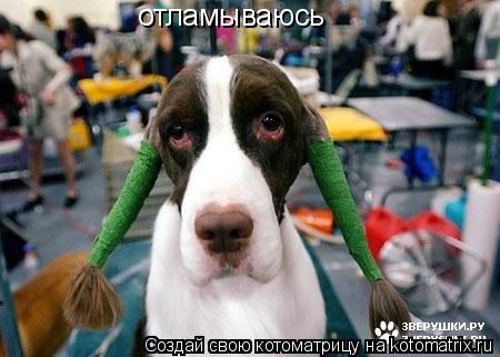 отламываюсь... Котоматрица: отламываюсь