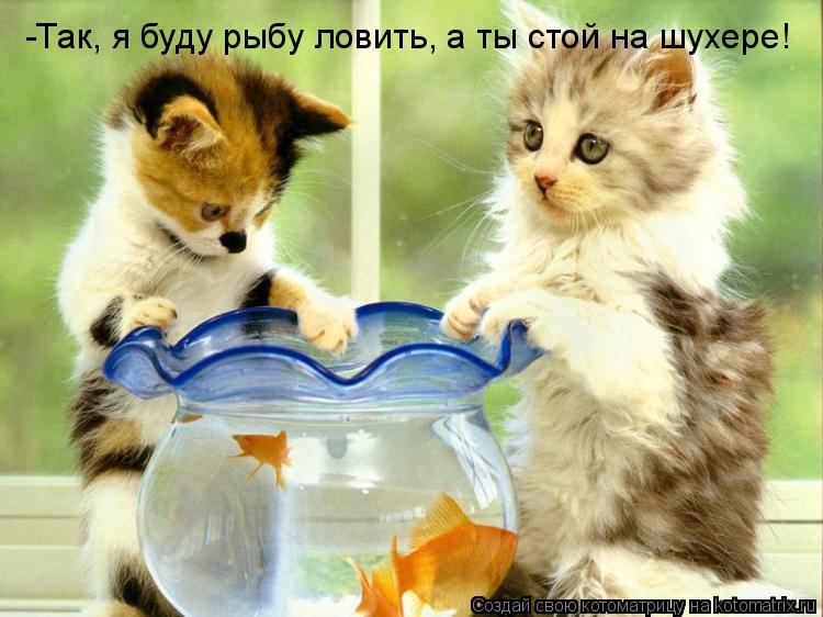 -Так, я буду рыбу ловить, а ты стой на шухере!... Котоматрица: -Так, я буду рыбу ловить, а ты стой на шухере!