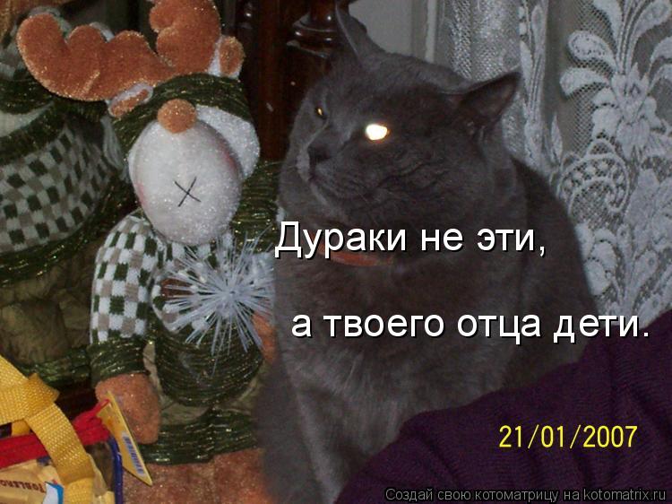 Дураки не эти, а твоего отца дети.... Котоматрица: Дураки не эти, а твоего отца дети.