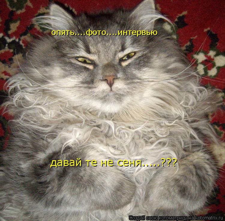 Котоматрица: опять....фото....интервью давай те не сеня.....???