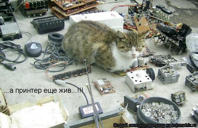 Котоматрица: ...а принтер еще жив...!!!