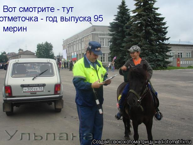 Вот смотрите - тут отметочка - год выпуска 95 мерин... Котоматрица: Вот смотрите - тут отметочка - год выпуска 95 мерин