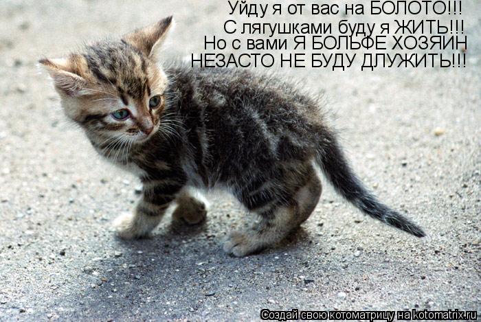 Уйду я от вас на БОЛОТО!!! С лягушками буду я ЖИТЬ!!! Но с вами Я БОЛЬФЕ ХОЗЯИН НЕЗАСТО НЕ БУДУ ДЛУЖИ... Котоматрица: Уйду я от вас на БОЛОТО!!! С лягушками буду я ЖИТЬ!!! Но с вами Я БОЛЬФЕ ХОЗЯИН НЕЗАСТО НЕ БУДУ ДЛУЖИТЬ!!!