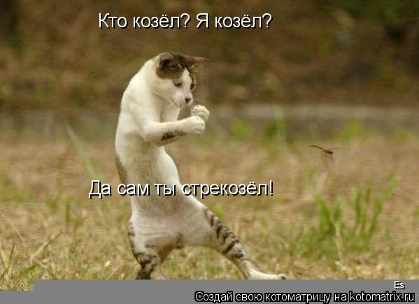 Кто козёл? Я козёл? Да сам ты стрекозёл! Es... Котоматрица: Кто козёл? Я козёл? Да сам ты стрекозёл! Es