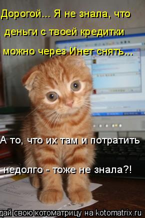 деньги с твоей кредитки можно через Инет снять... А то, что их там и потратить недолго - тоже не знал... Котоматрица: деньги с твоей кредитки можно через Инет снять... А то, что их там и потратить недолго - тоже не знала?! Дорогой... Я не знала, что