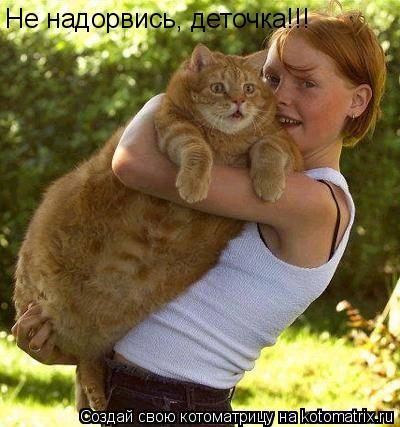 Не надорвись, деточка!!!... Котоматрица: Не надорвись, деточка!!!