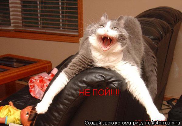 НЕ ПОЙ!!!!... Котоматрица: НЕ ПОЙ!!!!
