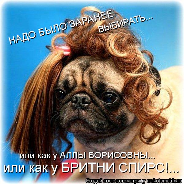 НАДО БЫЛО ЗАРАНЕЕ или как у БРИТНИ СПИРС!... ВЫБИРАТЬ... или как у АЛЛЫ БОРИСОВНЫ...... Котоматрица: НАДО БЫЛО ЗАРАНЕЕ или как у БРИТНИ СПИРС!... ВЫБИРАТЬ... или как у АЛЛЫ БОРИСОВНЫ...