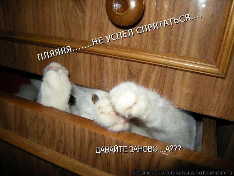 ПЛЯЯЯЯ.......НЕ УСПЕЛ СПРЯТАТЬСЯ.... ДАВАЙТЕ ЗАНОВО....А???... Котоматрица: ПЛЯЯЯЯ.......НЕ УСПЕЛ СПРЯТАТЬСЯ.... ДАВАЙТЕ ЗАНОВО....А???