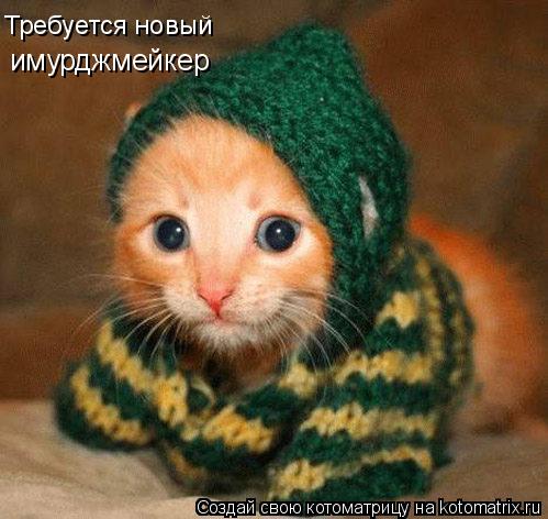 имурджмейкер Требуется новый... Котоматрица: имурджмейкер Требуется новый