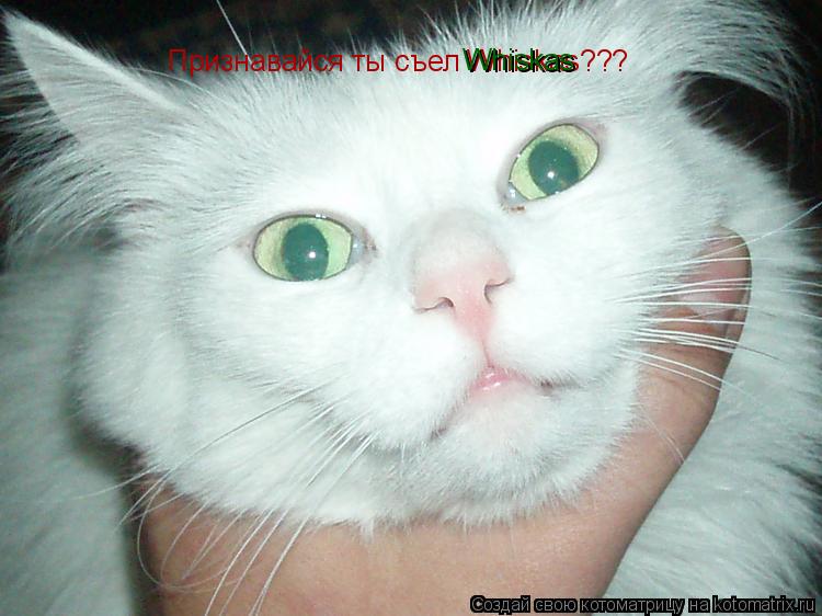 Признавайся ты съел Whiskas??? Whiskas... Котоматрица: Признавайся ты съел Whiskas??? Whiskas