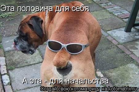 Эта половина для себя А эта - для начальства ,... Котоматрица: Эта половина для себя А эта - для начальства ,