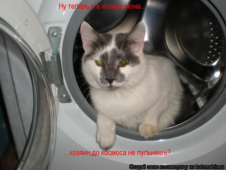 Котоматрица: Ну теперь и в космос мона... ...хозяин,до космоса не пульнешь?