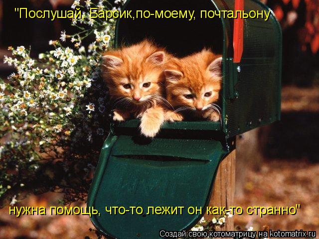"Послушай, Барсик,по-моему, почтальону нужна помощь, что-то лежит он как-то странно"... Котоматрица: "Послушай, Барсик,по-моему, почтальону нужна помощь, что-то лежит он как-то странно"