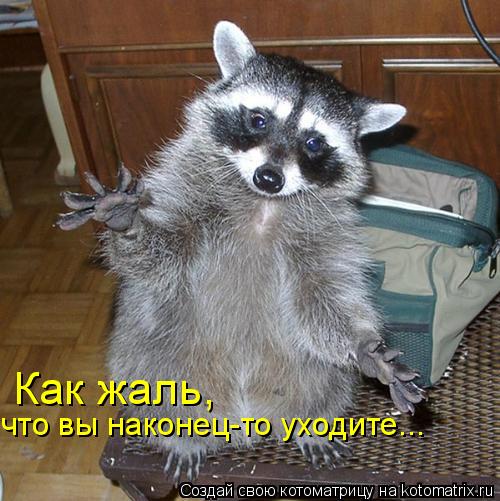 что вы наконец-то уходите... Как жаль,... Котоматрица: что вы наконец-то уходите... Как жаль,