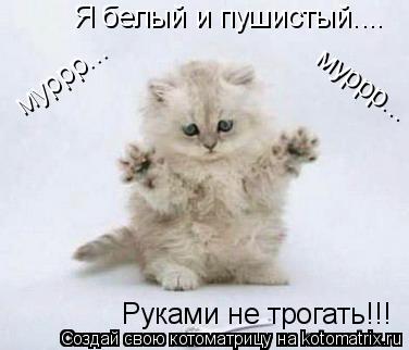 Котоматрица: Руками не трогать!!! муррр... Я белый и пушистый.... муррр...