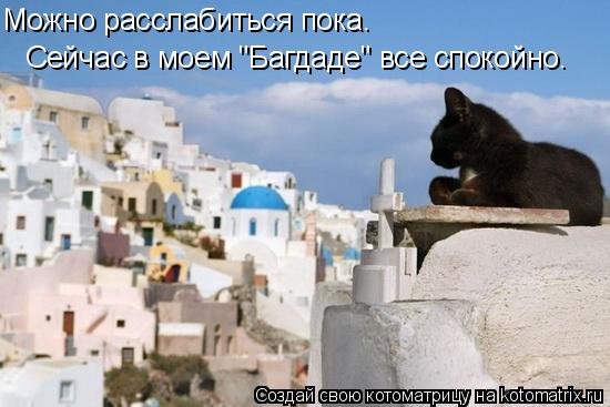 Можно расслабиться пока. Сейчас в моем "Багдаде" все спокойно.... Котоматрица: Можно расслабиться пока. Сейчас в моем "Багдаде" все спокойно.