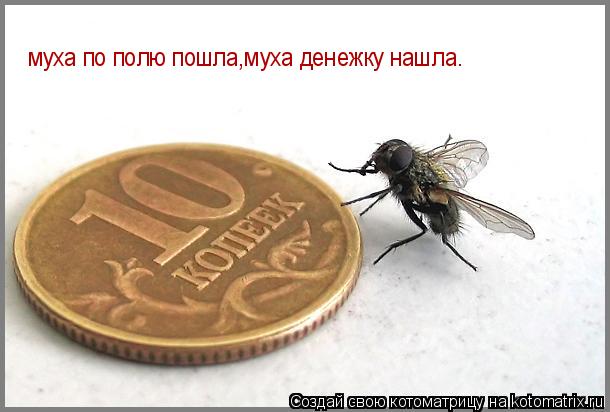 муха по полю пошла,муха денежку нашла.... Котоматрица: муха по полю пошла,муха денежку нашла.