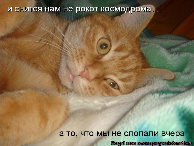 и снится нам не рокот космодрома.... а то, что мы не слопали вчера... Котоматрица: и снится нам не рокот космодрома.... а то, что мы не слопали вчера