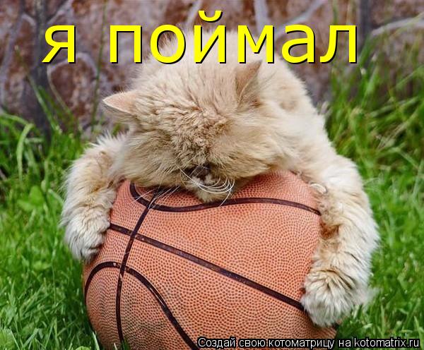 я поймал... Котоматрица: я поймал