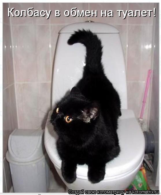 Котоматрица: Колбасу в обмен на туалет!