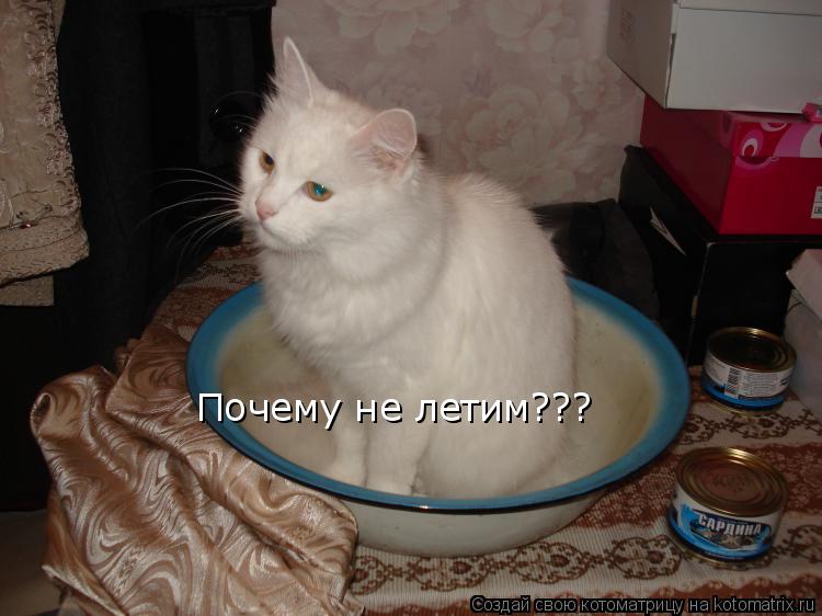 Почему не летим???... Котоматрица: Почему не летим???