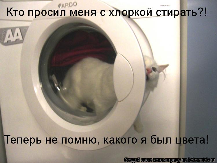 Кто просил меня с хлоркой стирать?! Теперь не помню, какого я был цвета!... Котоматрица: Кто просил меня с хлоркой стирать?! Теперь не помню, какого я был цвета!