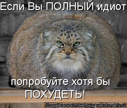 Если Вы ПОЛНЫЙ идиот попробуйте хотя бы ПОХУДЕТЬ!... Котоматрица: Если Вы ПОЛНЫЙ идиот попробуйте хотя бы ПОХУДЕТЬ!