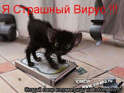 Я Страшный Вирус !!!... Котоматрица: Я Страшный Вирус !!!