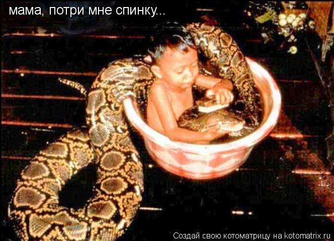 мама, потри мне спинку...... Котоматрица: мама, потри мне спинку...