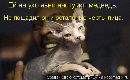 Ей на ухо явно наступил медведь. Не пощадил он и остальные черты лица.... Котоматрица: Ей на ухо явно наступил медведь. Не пощадил он и остальные черты лица.