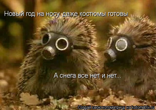 Новый год на носу, даже костюмы готовы А снега все нет и нет...... Котоматрица: Новый год на носу, даже костюмы готовы А снега все нет и нет...