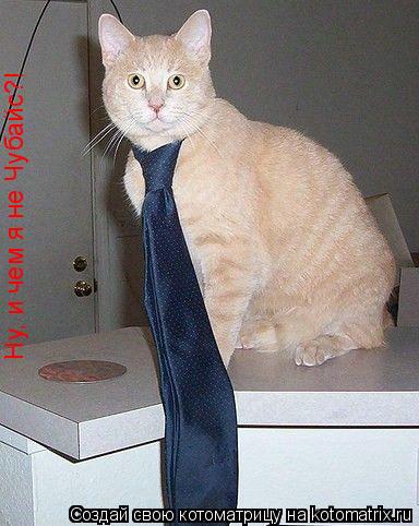 Ну, и чем я не Чубайс?!... Котоматрица: Ну, и чем я не Чубайс?!