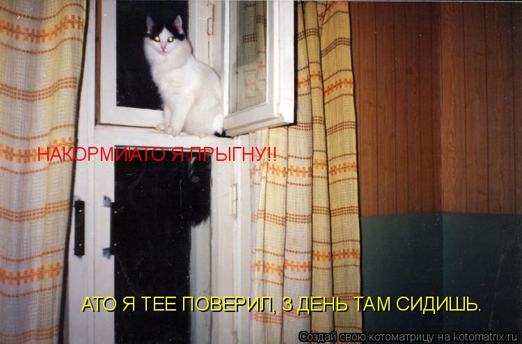 НАКОРМИ ! АТО Я ПРЫГНУ!! АТО Я ТЕЕ ПОВЕРИЛ, 3 ДЕНЬ ТАМ СИДИШЬ.... Котоматрица: НАКОРМИ ! АТО Я ПРЫГНУ!! АТО Я ТЕЕ ПОВЕРИЛ, 3 ДЕНЬ ТАМ СИДИШЬ.
