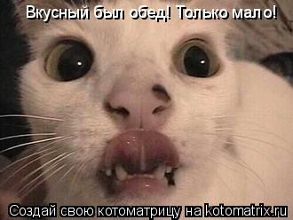 Котоматрица: Вкусный был обед! Только мало!