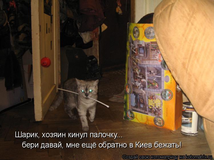 Котоматрица: Шарик, хозяин кинул палочку... бери давай, мне ещё обратно в Киев бежать!