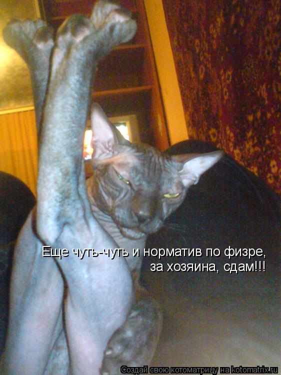 Еще чуть-чуть и норматив по физре, за хозяина, сдам!!!... Котоматрица: Еще чуть-чуть и норматив по физре, за хозяина, сдам!!!