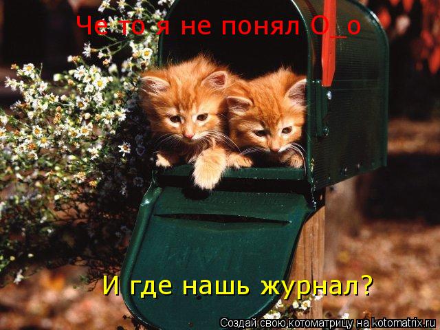 Че то я не понял О_о И где нашь журнал?... Котоматрица: Че то я не понял О_о И где нашь журнал?