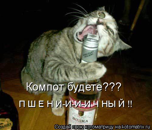 Котоматрица: Компот будете??? П Ш Е Н И-И-И-И Ч НЫ Й !!