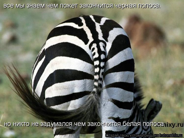 все мы знаем чем пожет закончится черная полоса. но никто не задумался чем закончится белая полоса... Котоматрица: все мы знаем чем пожет закончится черная полоса. но никто не задумался чем закончится белая полоса