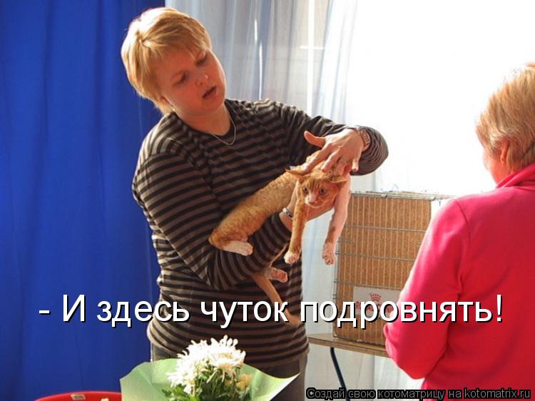 - И здесь чуток подровнять!... Котоматрица: - И здесь чуток подровнять!