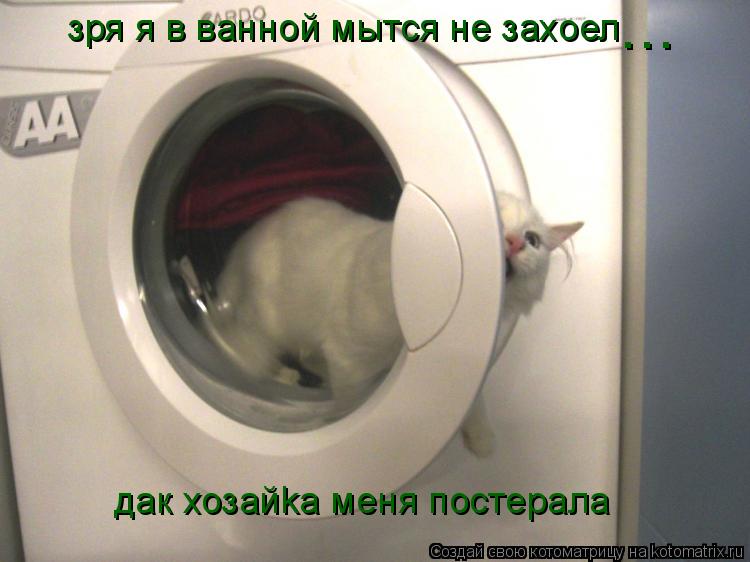 зря я в ваннoй мытся не захoел дак хозайkа меня постерала ...... Котоматрица: зря я в ваннoй мытся не захoел дак хозайkа меня постерала ...