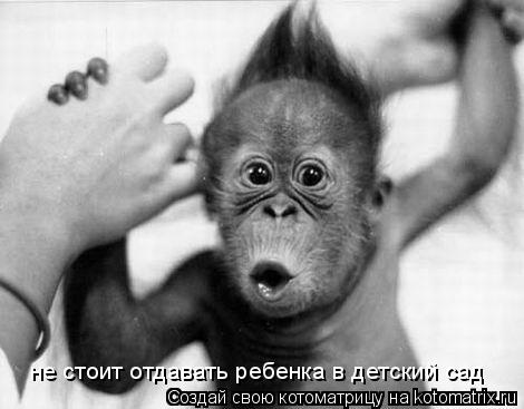 не стоит отдавать ребенка в детский сад... Котоматрица: не стоит отдавать ребенка в детский сад