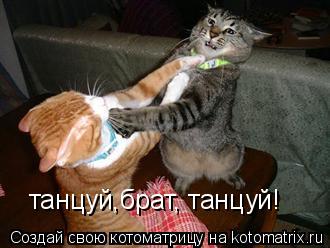 танцуй,брат, танцуй!... Котоматрица: танцуй,брат, танцуй!